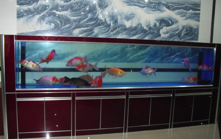 永康風(fēng)水先生老徐辦公室養(yǎng)魚養(yǎng)幾條魚最好?