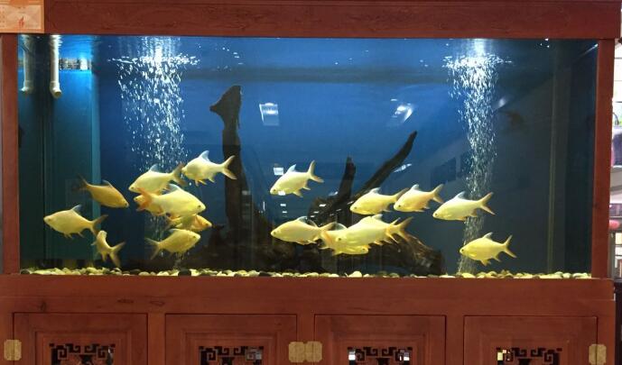 永康風(fēng)水先生詳聊門店風(fēng)水怎樣招財(cái)及方法