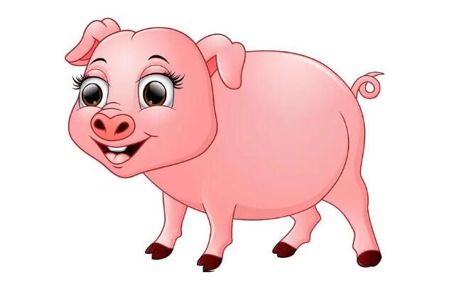 屬豬人2024年運(yùn)勢(shì)及運(yùn)程詳解